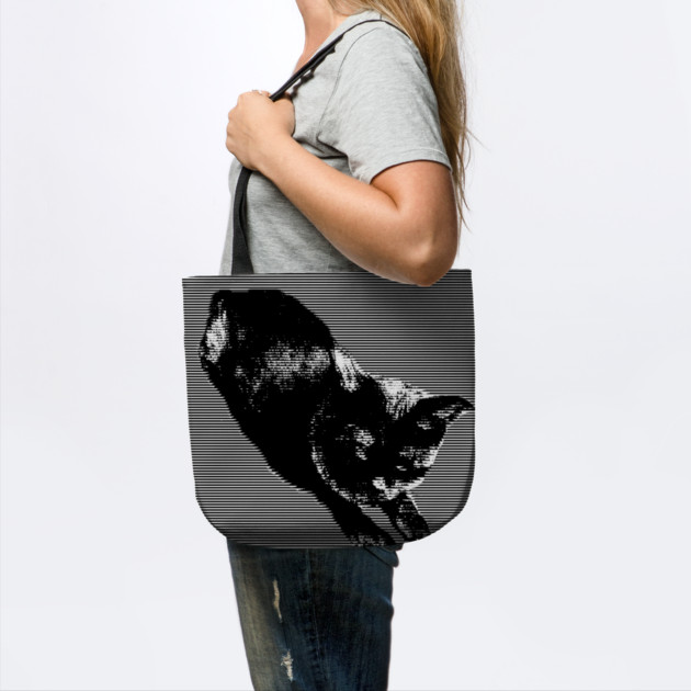Graphic Black Cat by DonWillisJrArt