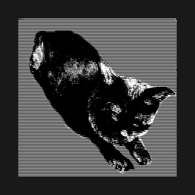 Graphic Black Cat by DonWillisJrArt