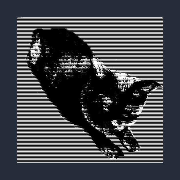 Graphic Black Cat by DonWillisJrArt