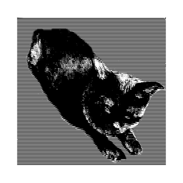 Graphic Black Cat by DonWillisJrArt