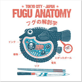 Fugu anatomy Tokyo Posters and Art