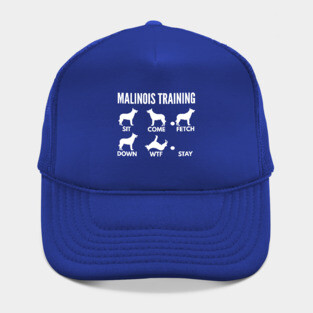Malinois Dog Training Malinois Dog Tricks Hat