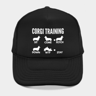 Corgi Training Corgi Dog Tricks Hat
