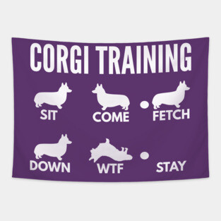 Corgi Training Corgi Dog Tricks Tapestry