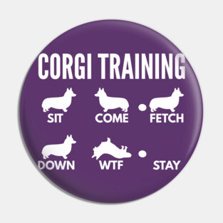 Corgi Training Corgi Dog Tricks Pin