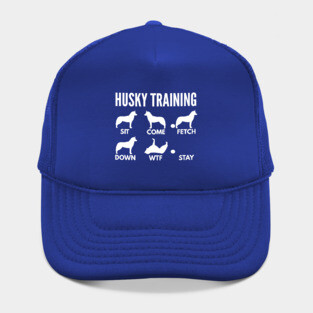 Husky Training Husky Dog Tricks Hat