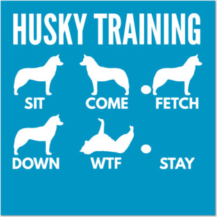 Husky Training Husky Dog Tricks Posters and Art