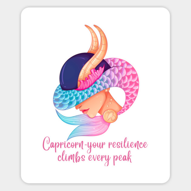Capricorn Birth Sign Magnet by BirdsnStuff