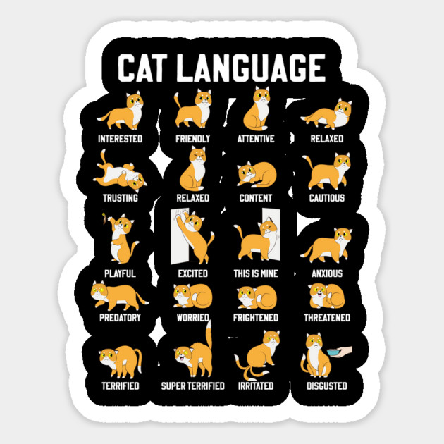 Cat Language Magnet by GoshWow®