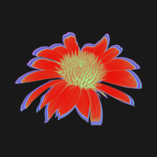 Red Hot Daisy T-Shirt