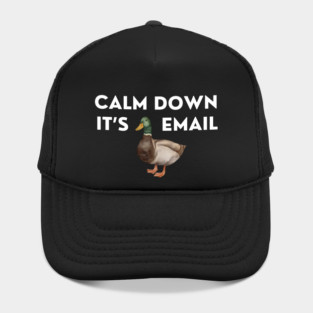 CALM DOWN, IT'S DUCKING EMAIL Hat