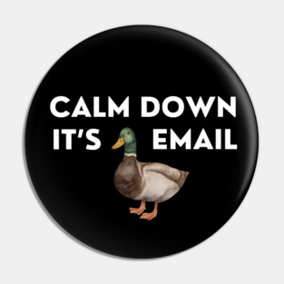 CALM DOWN, IT'S DUCKING EMAIL Pin