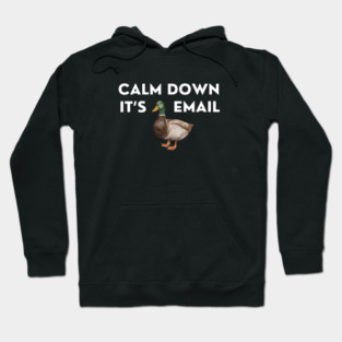 CALM DOWN, IT'S DUCKING EMAIL Hoodie