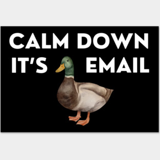 CALM DOWN, IT'S DUCKING EMAIL Posters and Art