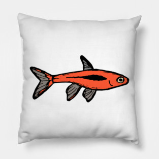 Mosquito raspbora - freshwater aquarium fish Pillow