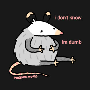 I don't know T-Shirt