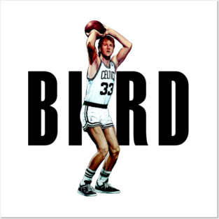 Larry Bird Posters and Art