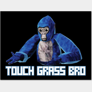 Gorilla Tag Funny Tee for Kids, Boys, Touch Grass Posters and Art