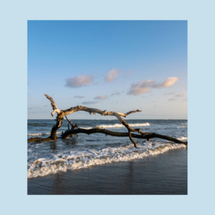 Driftwood in Ocean T-Shirt