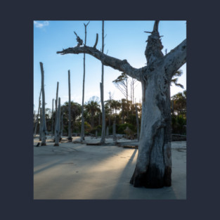 Driftwood Beach Statues T-Shirt
