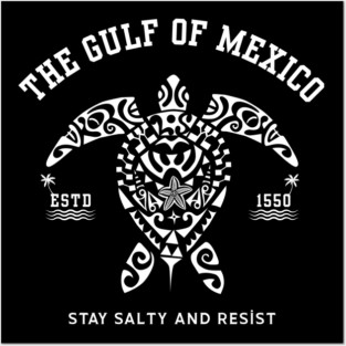 gulf-of-mexico Posters and Art