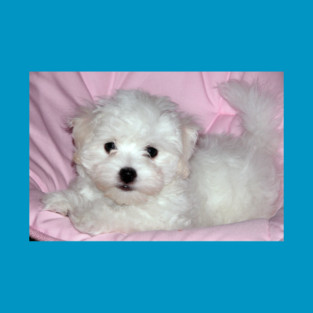 photo puppy pretty in pink T-Shirt