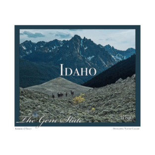 Idaho Poster Art T-Shirt