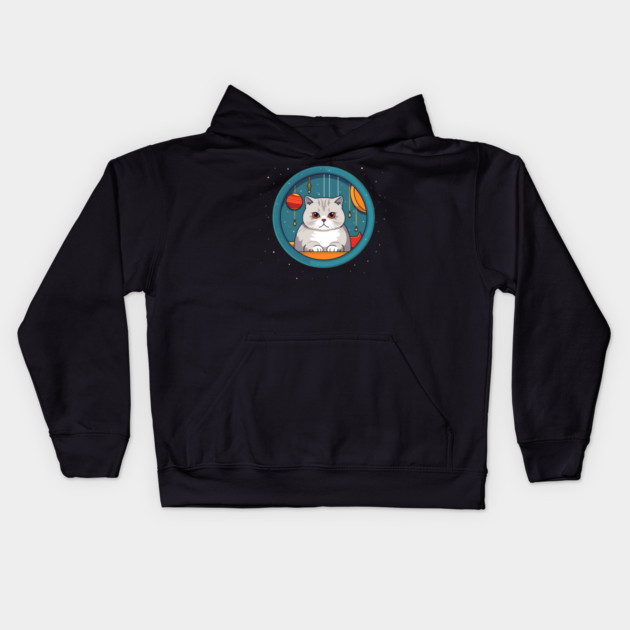 Scottish Fold Cat Xmas Ornament, Love Cats Kids Hoodie by logiamerch