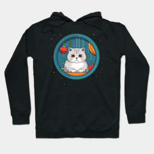 Scottish Fold Cat Xmas Ornament, Love Cats Hoodie