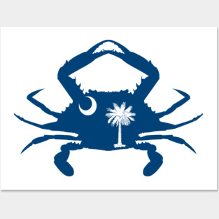 South Carolina Flag Posters and Art