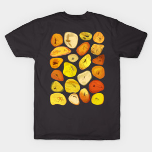 Insects in Amber T-Shirt