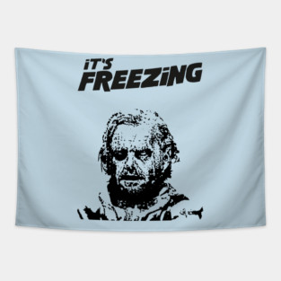 IT'S FREEZING- The Shining Tapestry