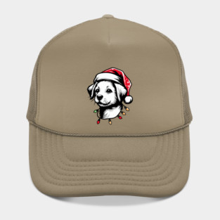 Adorable Dog Christmas Lights Santa Hat Hat