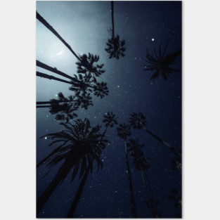 Palm Trees, Night Sky Posters and Art