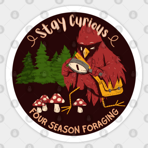 Stay Curious Sticker by Four Season Foraging