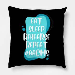 Arts Academy Charter Middle School Pillow