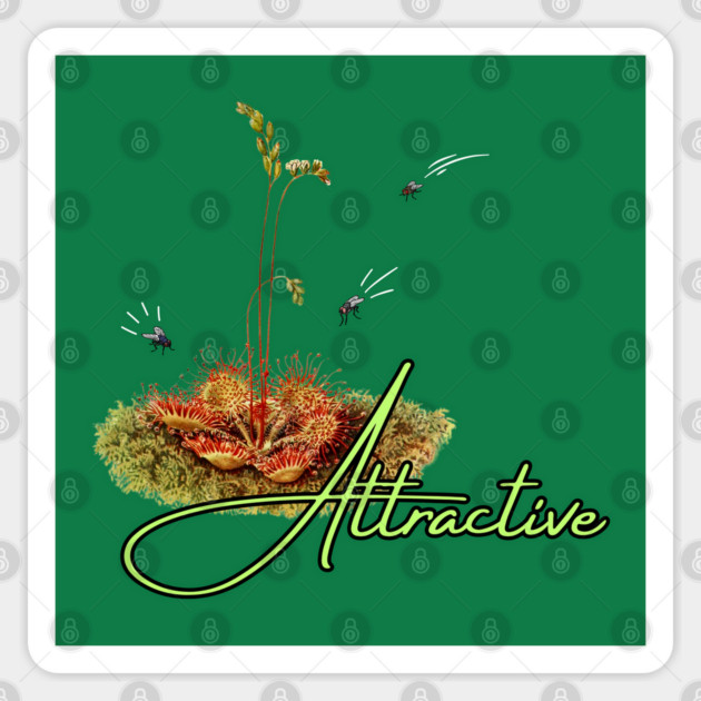 Attractive Sticker by Four Season Foraging