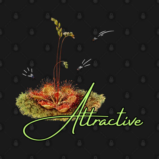 Attractive by Four Season Foraging