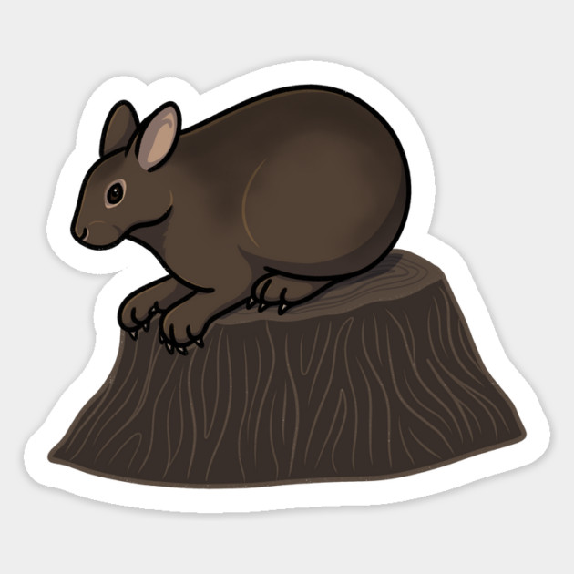 Amami Rabbit Magnet by DeguArts