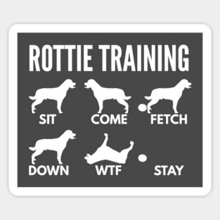 Rottweiler Training Rottweiler Dog Tricks Sticker