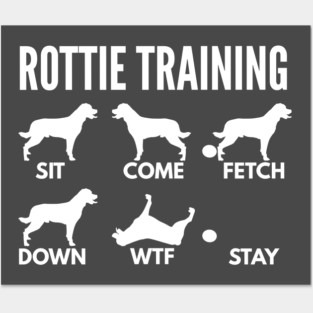 Rottweiler Training Rottweiler Dog Tricks Posters and Art