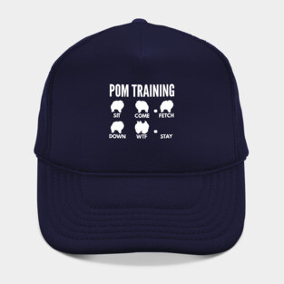 Pom Training Pomeranian Dog Tricks Hat