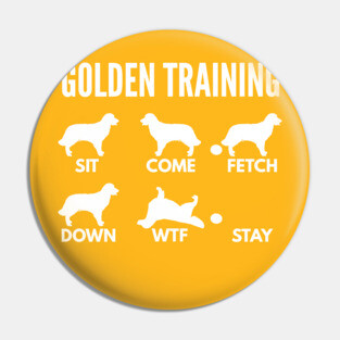 Golden Training Golden Retriever Dog Tricks Pin