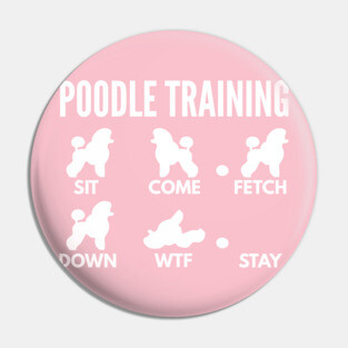 Poodle Training Poodle Dog Tricks Pin