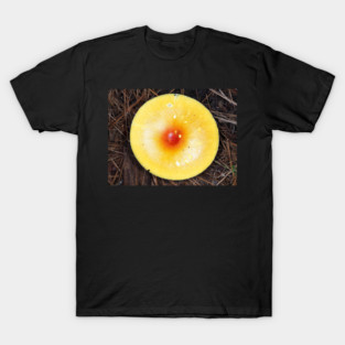 Brightly colored orange Amanita mushroom T-Shirt