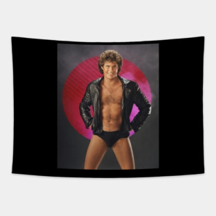 David Hasselhoff / 1952 Tapestry