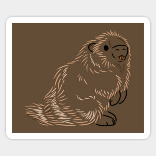 Porcupine Magnet