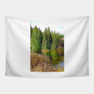 Lake Irene in Autumn Study 13-3 Tapestry