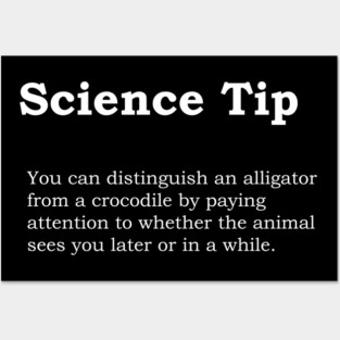 Crocodile Alligator Funny Science tip Posters and Art