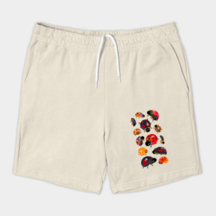 Lady beetles Shorts